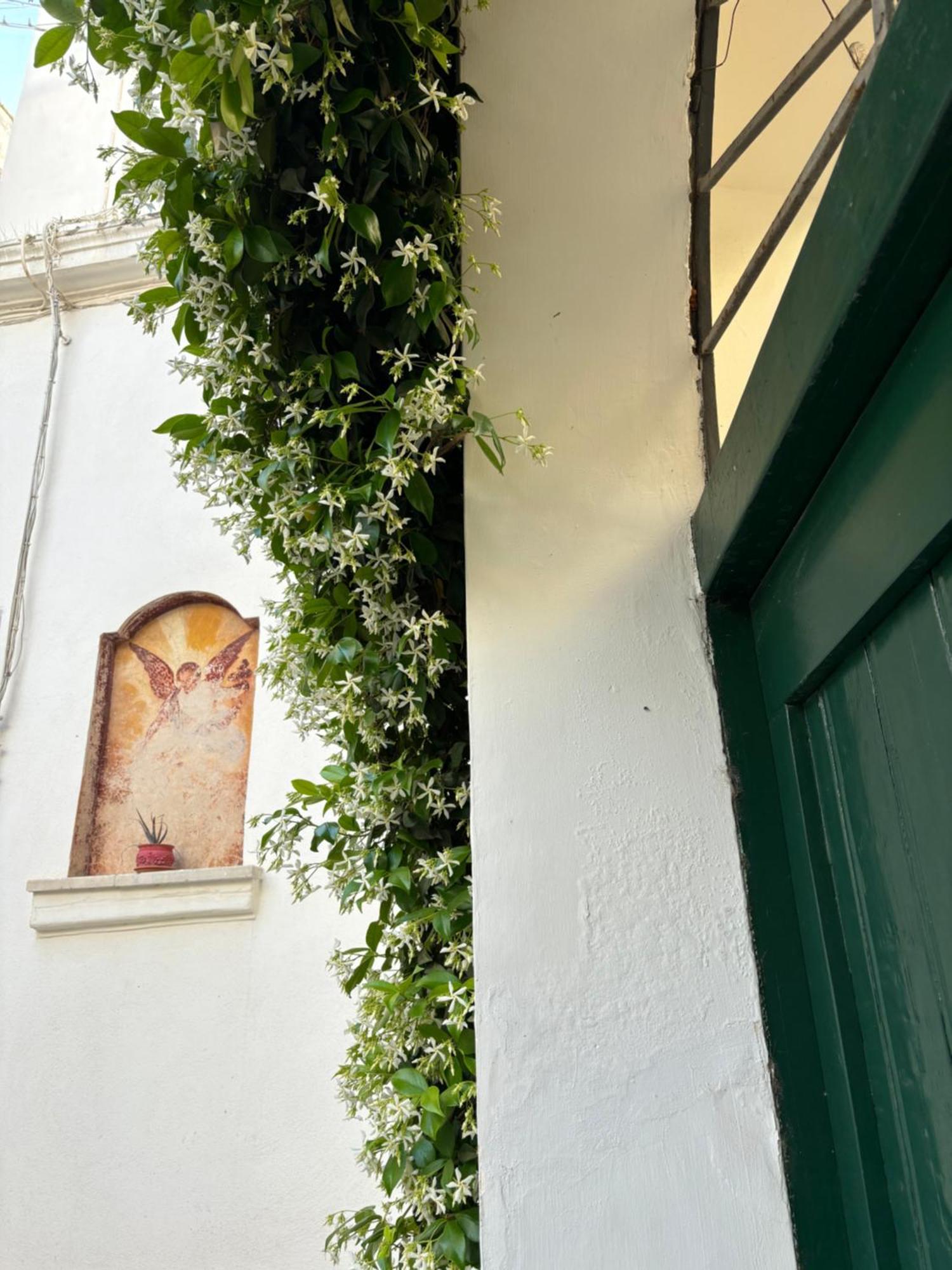B&B Antica Dimora Dell'Angelo ナルド エクステリア 写真